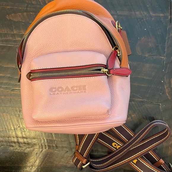 Mini Coach charter 18 colorblock backpack - Picture 2 of 3